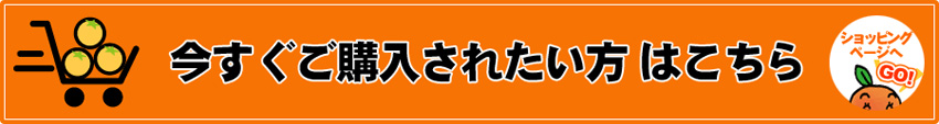 今すぐご購入されたい方はこちら