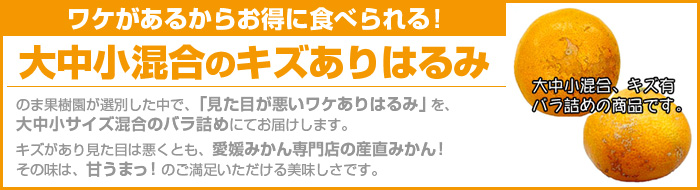 ���P����͂��