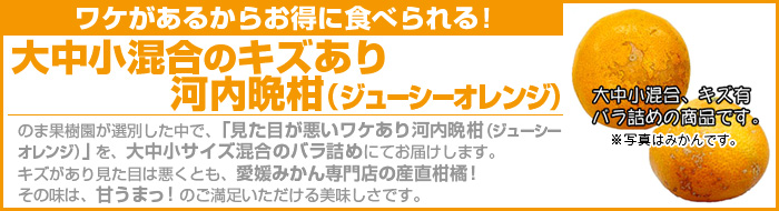 ���P����͓��ӊ��i�W���[�V�[�I�����W�j