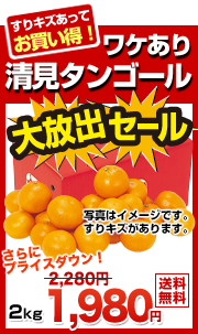 ���P���萴���^���S�[��