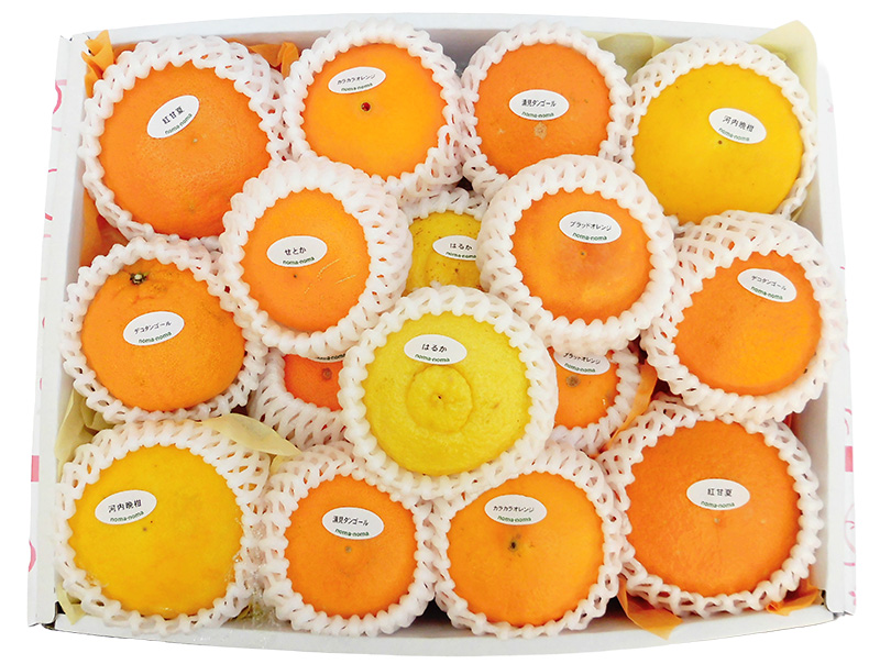 柑橘詰め合わせ