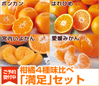 1月の柑橘満喫セット